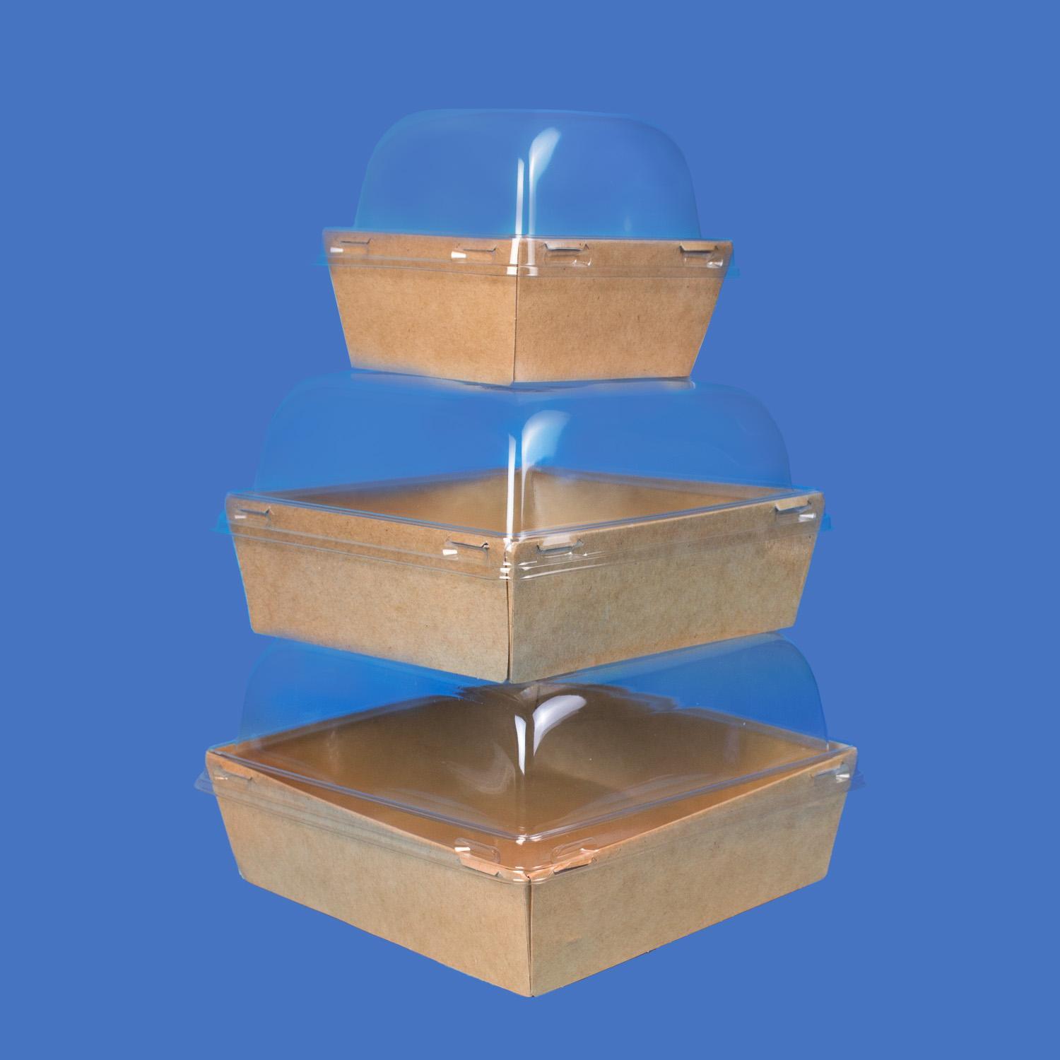 OSQ SmartPack 900 Контейнер 16,5х16,5х4,9см (крышка отдельно)