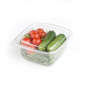 Контейнер пластиковый    750мл PET прозрачный 16,8х16,8х6,0см с нераздельной крышкой 200 шт/кор ПР-СК-РГ-750 А
