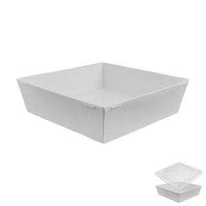 OSQ SmartPack 900 Контейнер белый 16,5х16,5х4,9см ForGenika (крышка отдельно)